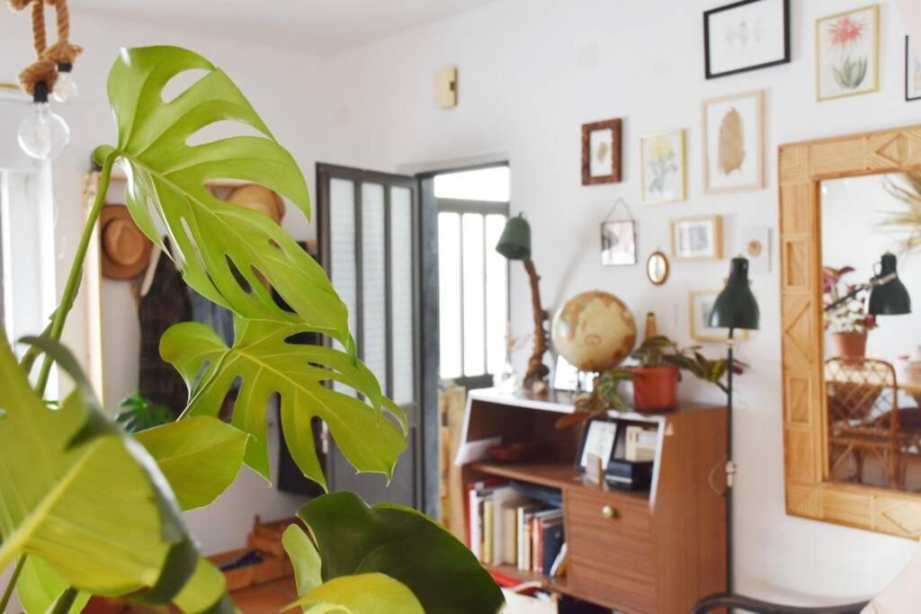 Bamboo House Aljezur Leilighet Eksteriør bilde